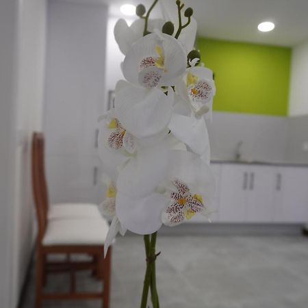 Apartamento Sanin 3 Lumbrales Exterior photo