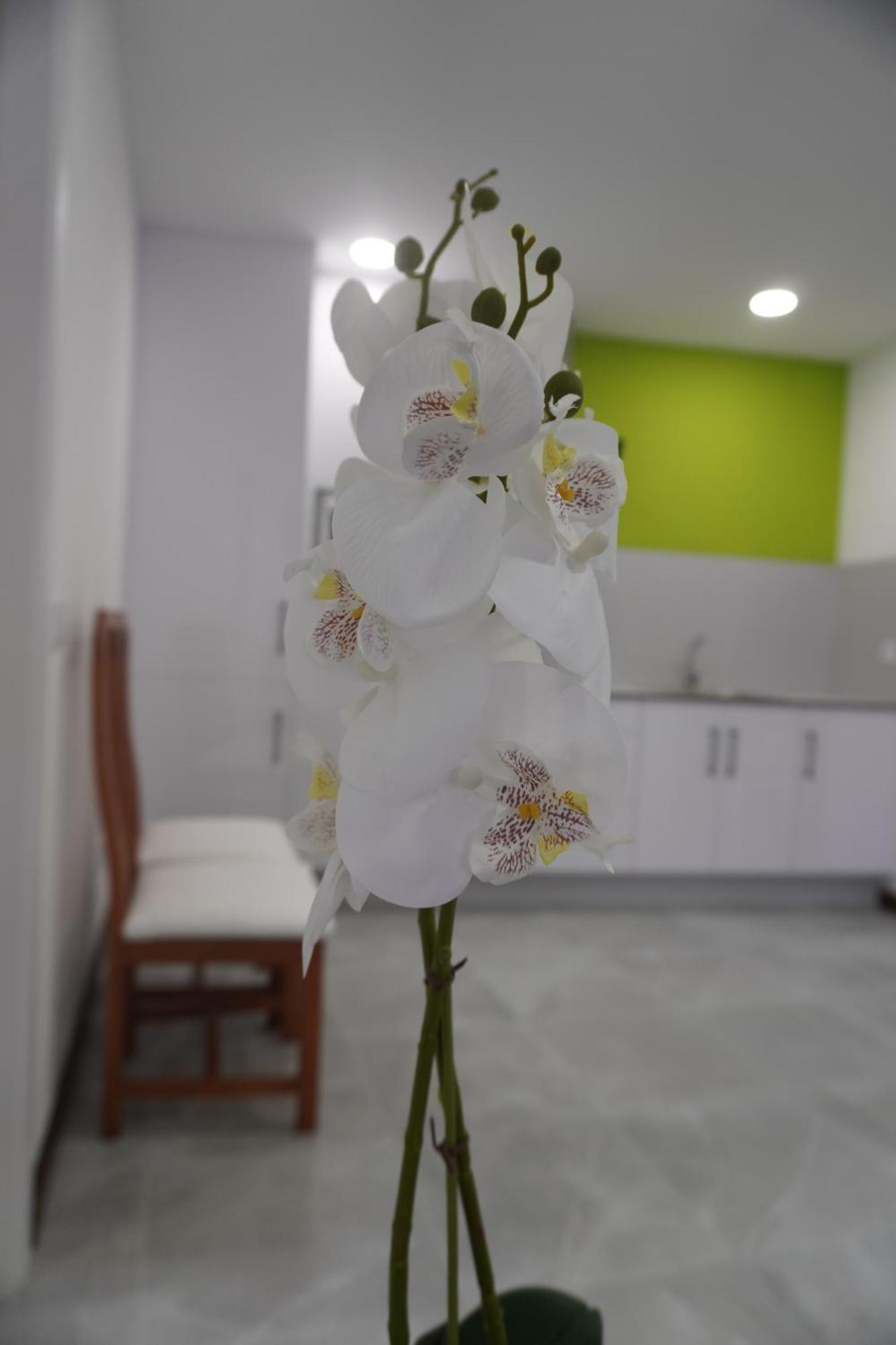 Apartamento Sanin 3 Lumbrales Exterior photo